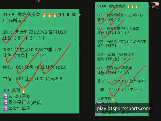 K1体育平台竞猜赔率深度解析：从数据到决策的进阶指南
